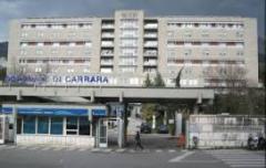 ospedale carrara