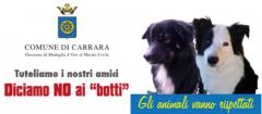 No ai botti
