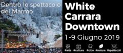 White Carrara Downtown 2019